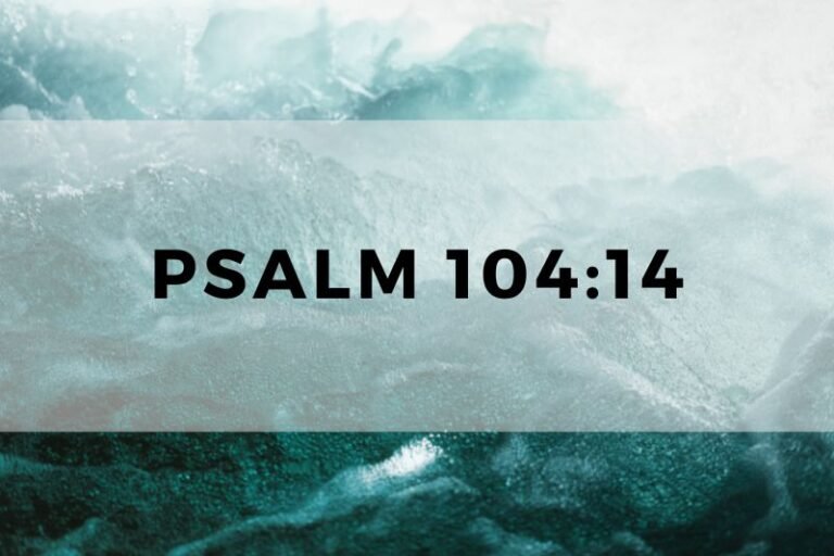 Psalm 104:14: Profound Lessons and Wisdom for Everyday Life