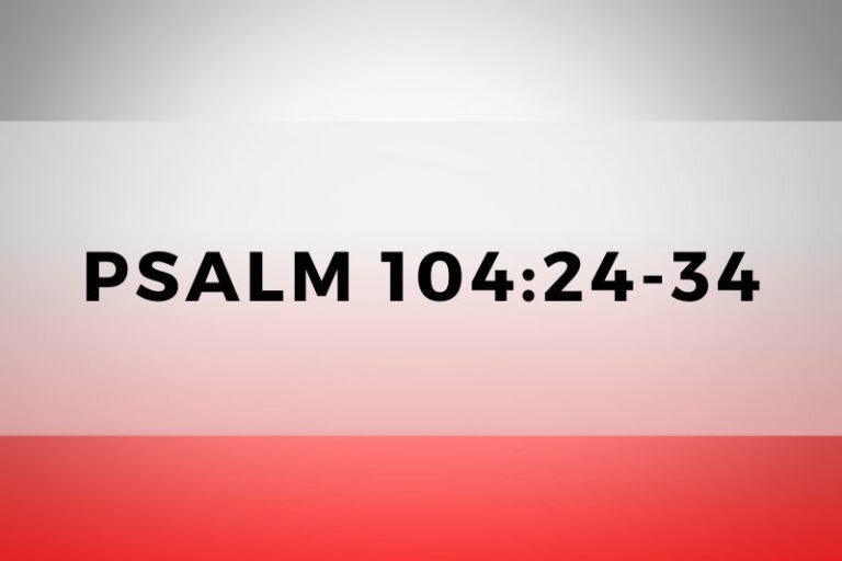 Psalm 104:24-34: Profound Lessons and Wisdom for Everyday Life